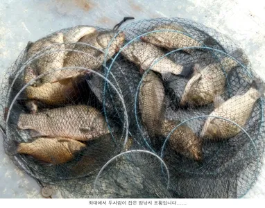 조건은 좋은데 잘안나오네요....