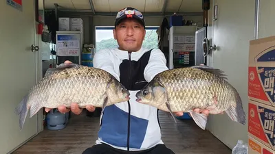 고삼지 마리수외 사짜붕어 조황입니다.