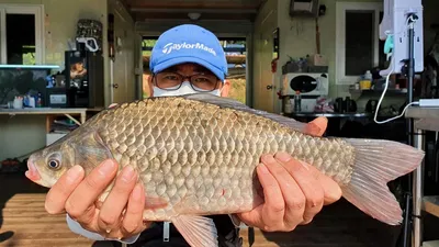 사짜붕어 분출중 고삼지 양촌좌대입니다.