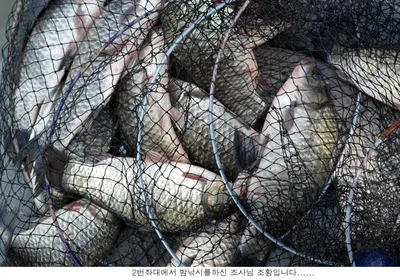 자리에 따라서 다른조황입니다....