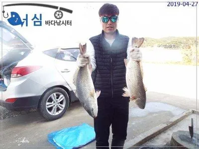 4월27일 어심바다낚시터조황