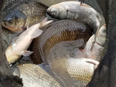 아름다운장계지에서