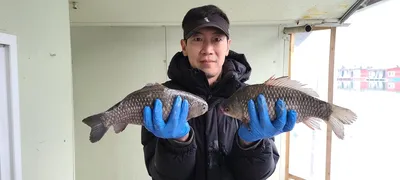 양평 힐링 수곡낚시터 둘째주 주말 조황 및 붕어 방류