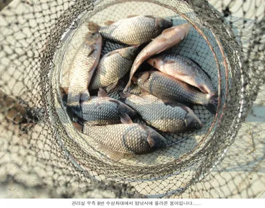 하루가 다르게 기온이 내려갑니다....