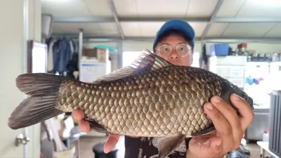 고삼저수지 명절연휴 마무리 사짜조황!!