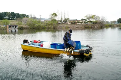 안성 두메낚시터 4월18일 조황안내. 