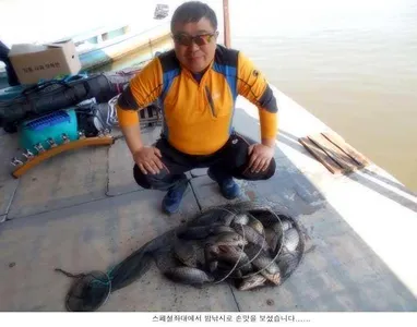 수온이 오르니 붕어가 나옵니다....