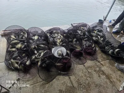 반제지 주말조황정보입니다 