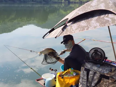 장계낚시터주말조항