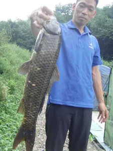 고르지못했던 한주