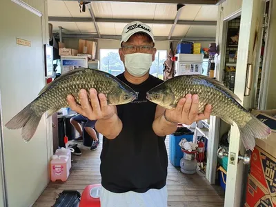 고삼지 8호 태풍으로 배수 시작