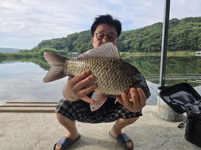 배수없는 당진항곡낚시터 조황