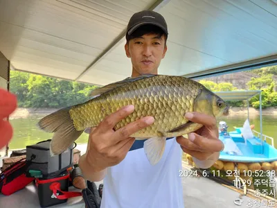 화곡낚시터 조황정보