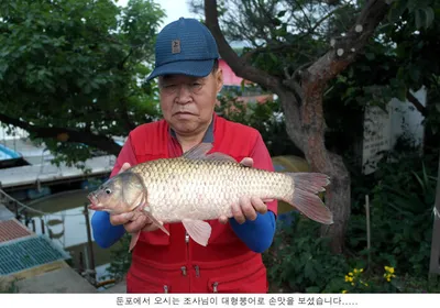 아쉬운 주말을 보냈습니다....
