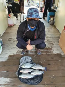 고삼저수지 상류권 평타 조황중!!