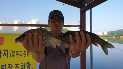 아산 명품 월랑낚시터 8월 두번째 조황이야기입니다...^^