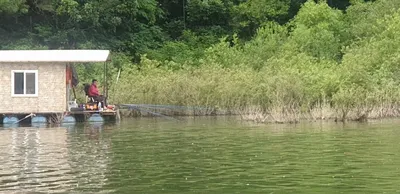 고삼지 사짜붕어 조황 아자!!