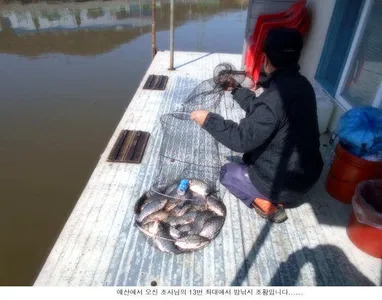밤낚시에 손맛을 볼수있습니다....