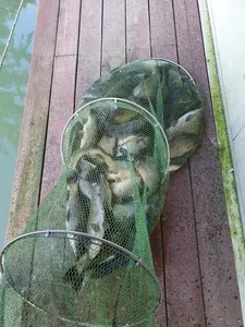 태풍이 지난 수곡낚시터 화,수요일 조황 소식입니다