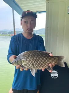 송전낚시터 제일집 조황입니다.