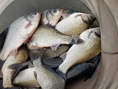 아름다운계곡속에자리잡은장계지에서