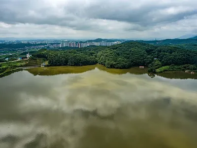 안성 두메낚시터 7월 21일 조황정보