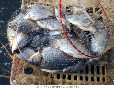 2020년 물낚시를 시작합니다.....