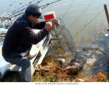 11월 마지막 주말입니다...