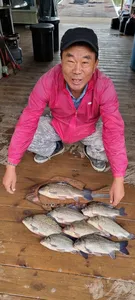 고삼지 상류권 포인트 조황입니다.