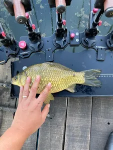 배수없는 낚시터 주말 조황입니다.