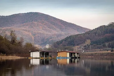 안성 두메낚시터 11월 17일 조황정보