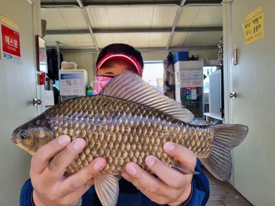 고삼지 남풍의 열기~ 사짜 붕어조황!!