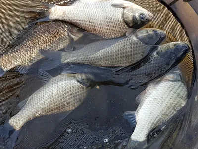 아름다운계곡속에자리잡은장계지에서