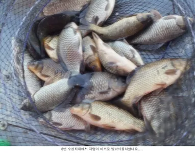 하루가 다르게 좋아지고 있습니다....