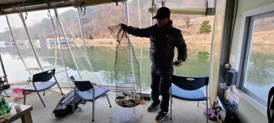 양평 수곡낚시터 대호만 토종붕어 대량방류 및 주중조황