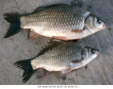 설 명절을 보내고.....