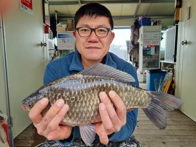 고삼저수지 조황은....??