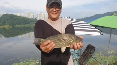 아산 명품 월랑낚시터 7월 첫번째 조황이야기입니다...^^