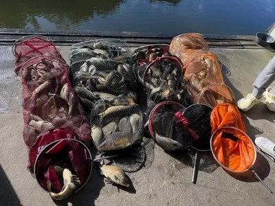 반제지 주말조황정보입니다 