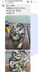 양평 힐링 붕어낚시 수곡낚시터 주말 좋은 조황 포함 고른편 이었습니다