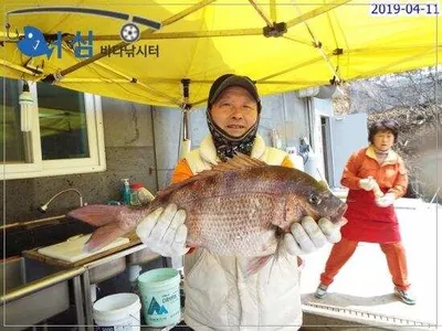 4월11일어심바다낚시터조황