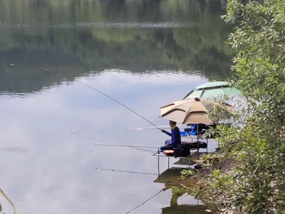 장계낚시터주말조항