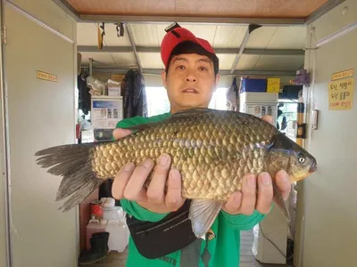 고삼지 안정적인 꾸준한 조항입니다.