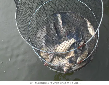 방류도하고 조황도 올리고....