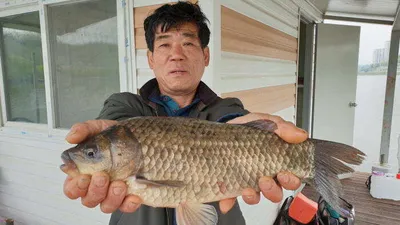 아산 명품 월랑낚시터 4월 마지막 조황이야기입니다...^^