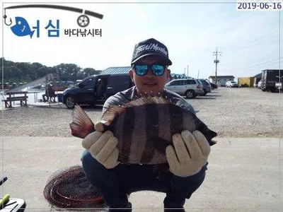 6월16일 어심바다낚시터조황 