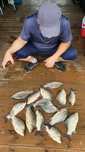 고삼지 꽝없는 가을낚시!!