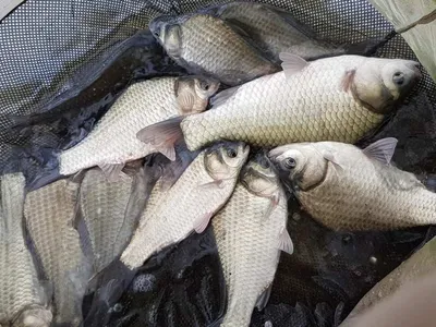 아름다운장계지에서