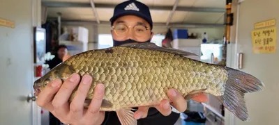 고삼지 주중 스타트!! 사짜조황입니다.