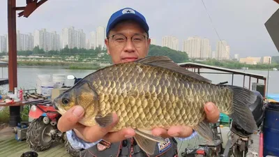 아산 명품 월랑낚시터 6월 두번째 조황이야기입니다...^^